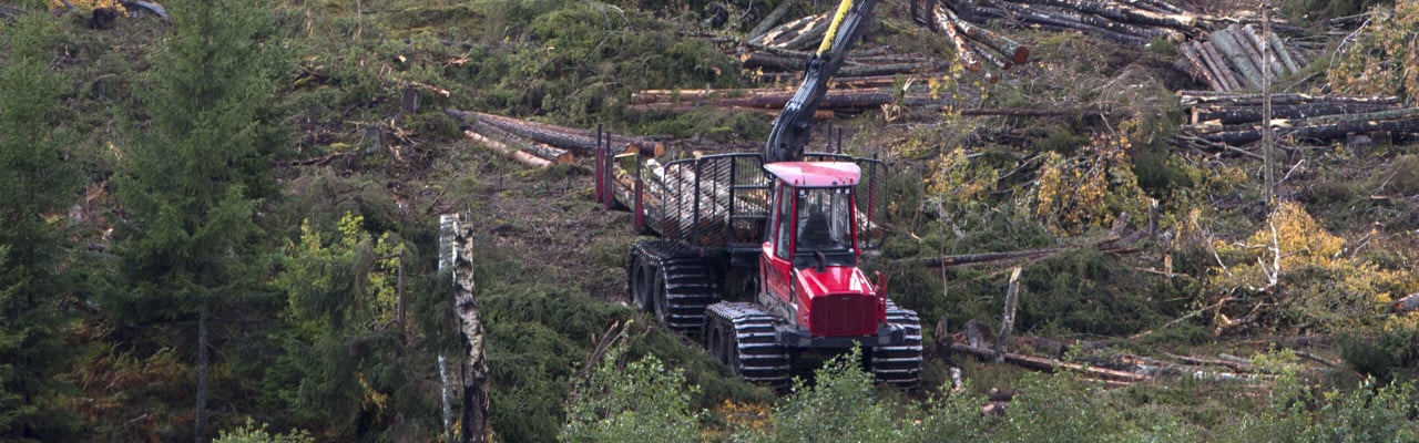 Skogsavverkning med skogsmaskiner.
