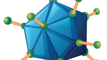 Illustration på adenovirus.