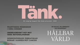 Omslagsbild av Tänk 2020