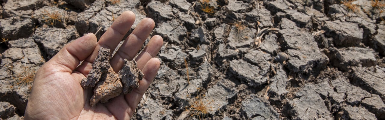 Hand som håller i torr jord för att illustrera torka eller klimatförändringar.