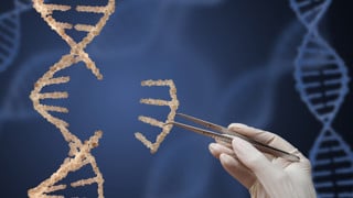 Image of a DNN molecule and hand with tweezers