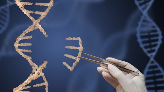 Image of a DNN molecule and hand with tweezers