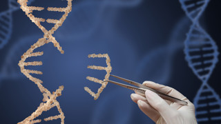 Image of a DNN molecule and hand with tweezers