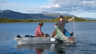 Sven Norman, fältarbete i Abisko