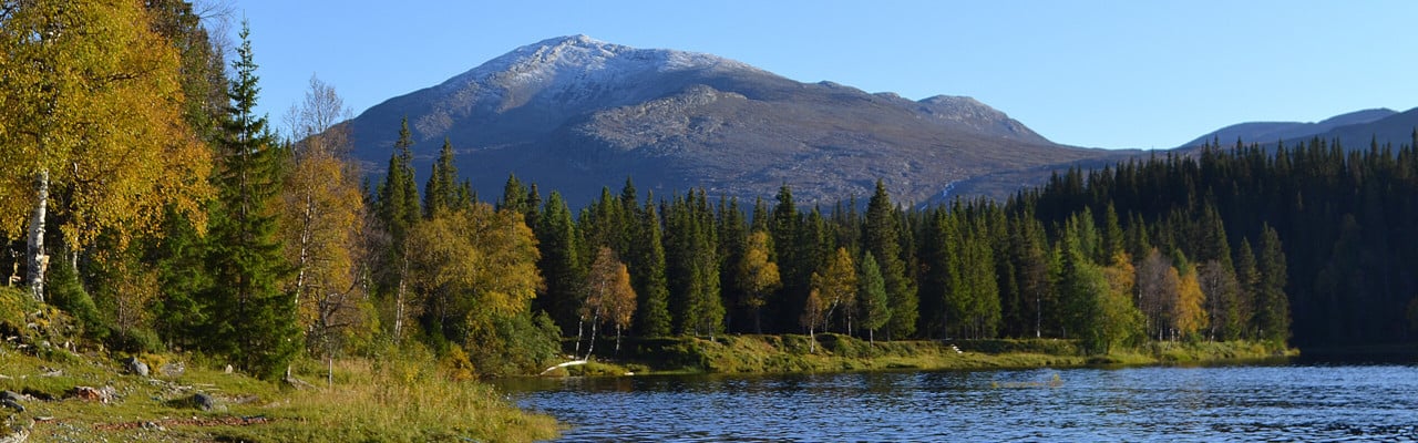 Vy över landskap i Jämtland med fjäll, skog och sjö under hösten.