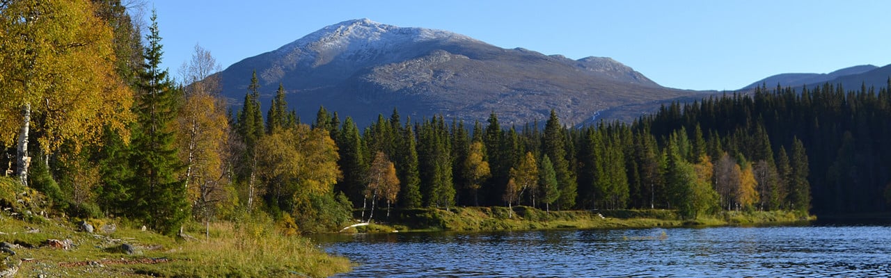Vy över landskap i Jämtland med fjäll, skog och sjö under hösten.