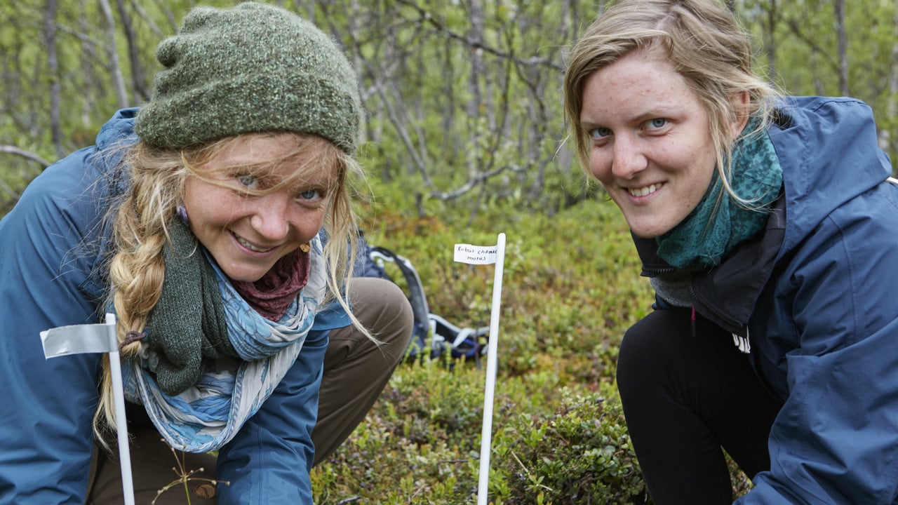 Hannah Rosenzweig och Lara Schmitt gör sin praktik vid CIRC. Här avbildade på Nuolja forskningsstig.