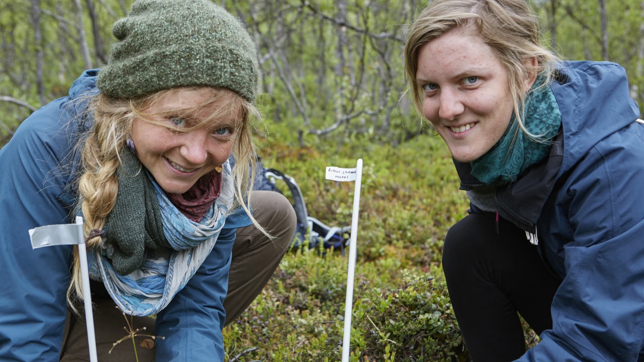 Hannah Rosenzweig och Lara Schmitt gör sin praktik vid CIRC. Här avbildade på Nuolja forskningsstig.