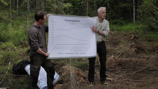 Future Forests