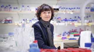 Bild på Emmanuelle Charpentier