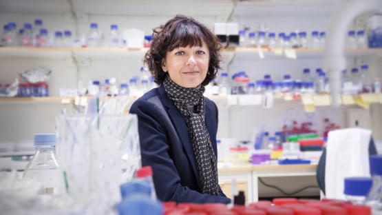 Bild på Emmanuelle Charpentier
