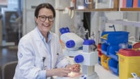 Biträdande universitetslektor, ST-läkare vid Institutionen för integrativ medicinsk biologi (IMB)