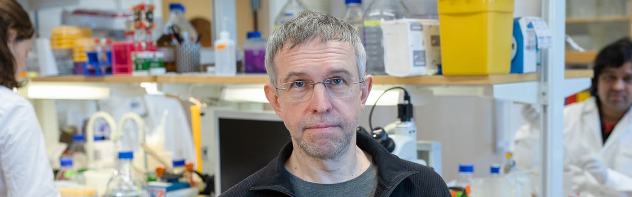 Andrei Chabes lab, Umeå University, Sweden