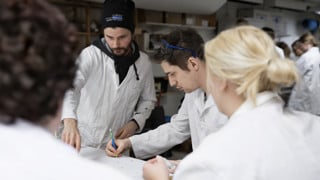 Flera arkeologistudenter i vita rockar tar prover och skriver ned värden i en laboratoriemiljö