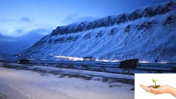 Snöiga berg över Svalbard, i gryningsljus
