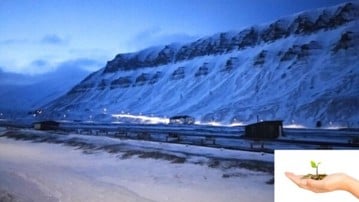 Snöiga berg över Svalbard, i gryningsljus