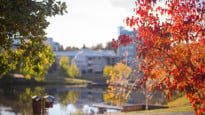 Höstfärger på campus.