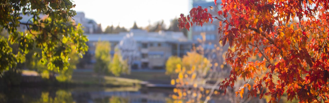 Höstfärger på campus.