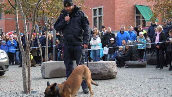 Beredskapsdag i Umeå