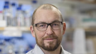 Porträtt på Ronnie Berntsson, Anknuten som Biträdande universitetslektor vid Institutionen för medicinsk kemi och biofysik, Umeå universitet