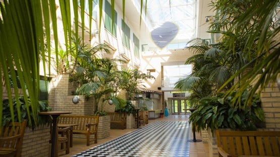 Beteendevetarhusets ljusgård