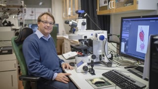 Porträtt på Oliver Billker, anknuten som professor till Institutionen för molekylärbiologi, Umeå universitet.