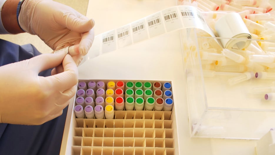 Biobanken norr