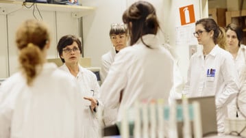 Research groups