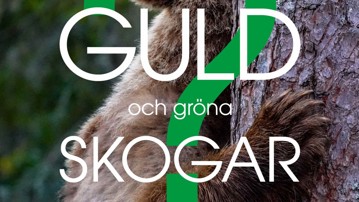 Guld och gröna skogar?