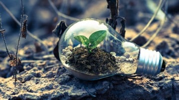 Ljuslykta ligger på marken. Planta växer i ljuslyktan.