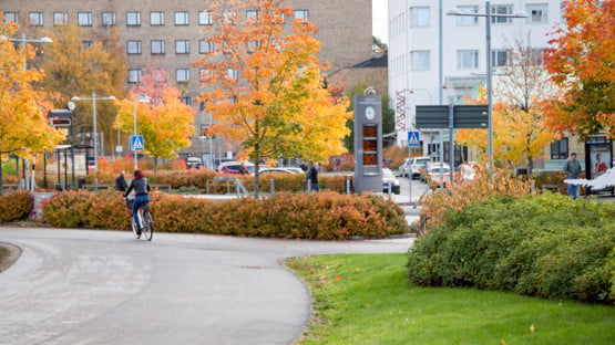Höstfärger på campus.