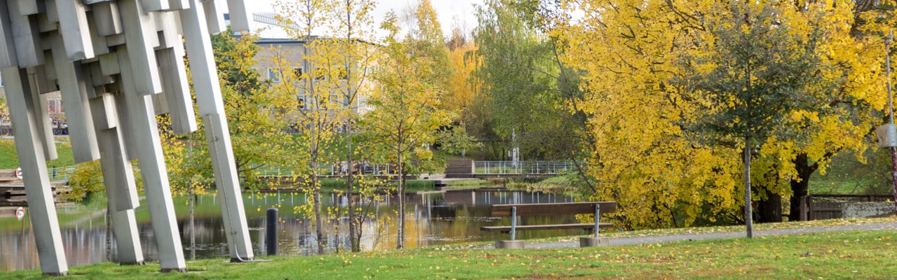 Höstfärger på campus.