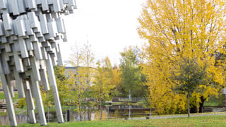Höstfärger på campus.