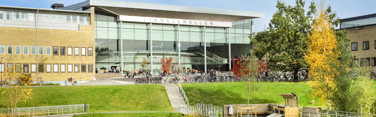 Dammen vid Lindellhallen