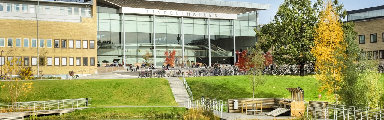 Dammen vid Lindellhallen