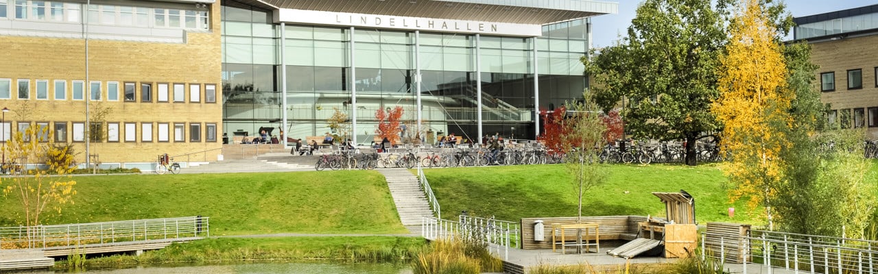 Dammen vid Lindellhallen