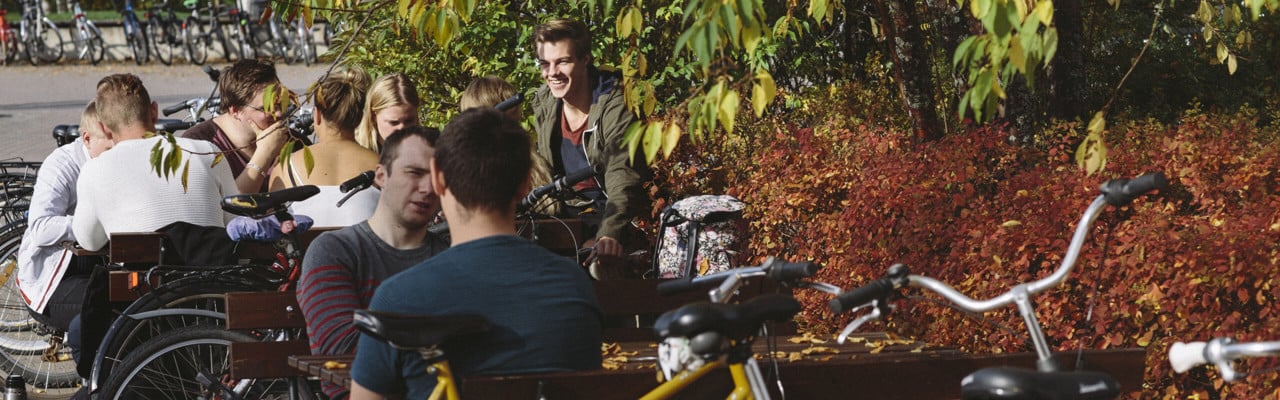 Bild på studenter på campus