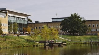 Bild på studenter på campus