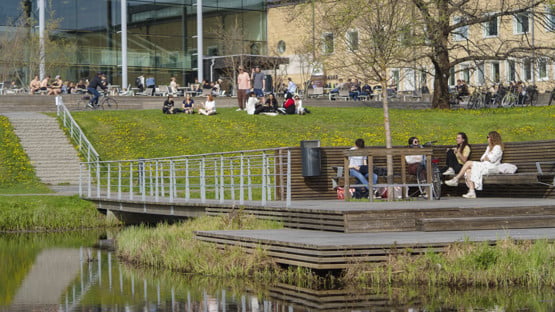 campusdammen 22 maj 2023