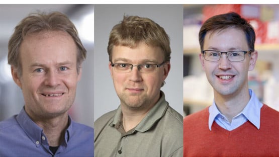 Collage Anders Jörgen Lars-Anders