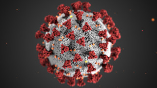 Illustration på ett coronavirus.