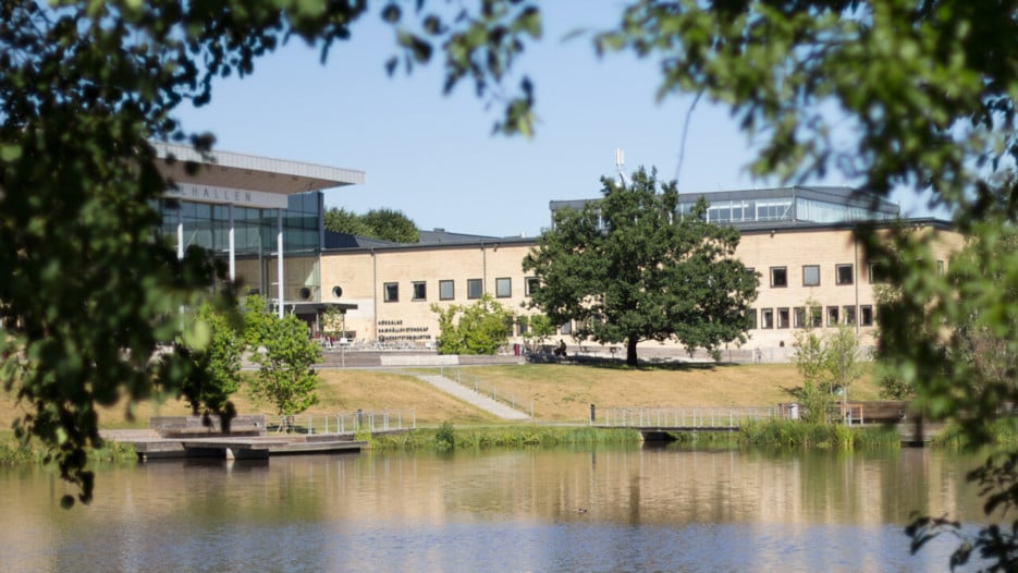 Campusdammen genom trädgrenar