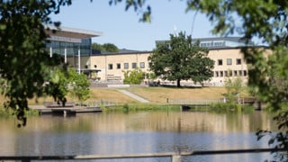 Campusdammen genom trädgrenar