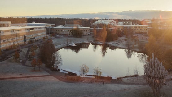 Fotografi på campusdammen en höstdag