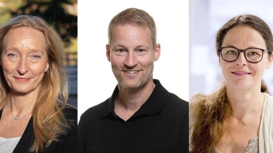 Collage forskarteam med Fredrik Almqvist