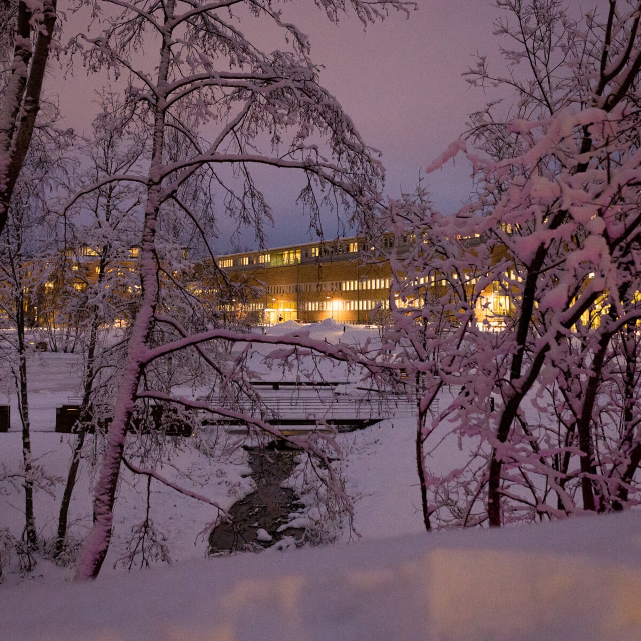 Vy över snötäckt Campus Umeå i skymningen i december.