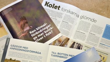 Populärvetenskapliga artiklar producerade inom EcoChange