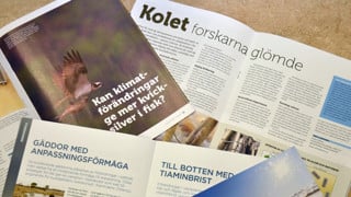 Populärvetenskapliga artiklar producerade inom EcoChange