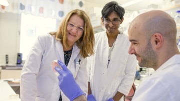 Our Ph.D. studies