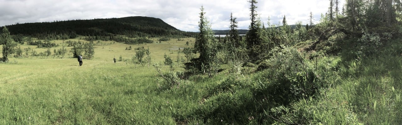 Bild från fältdag i fjällen